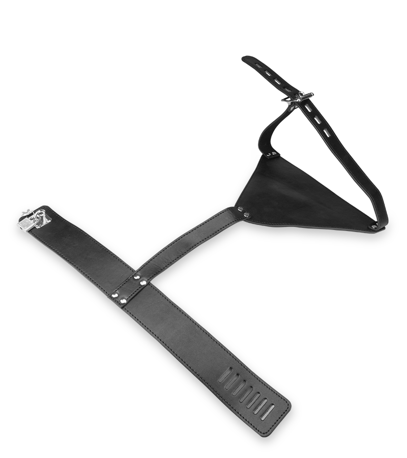 BDSM-Armfessel
