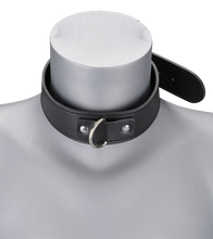 Load image into Gallery viewer, BDSM-Halsband und -Leine