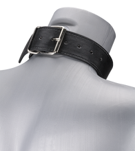 Load image into Gallery viewer, BDSM-Halsband und -Leine